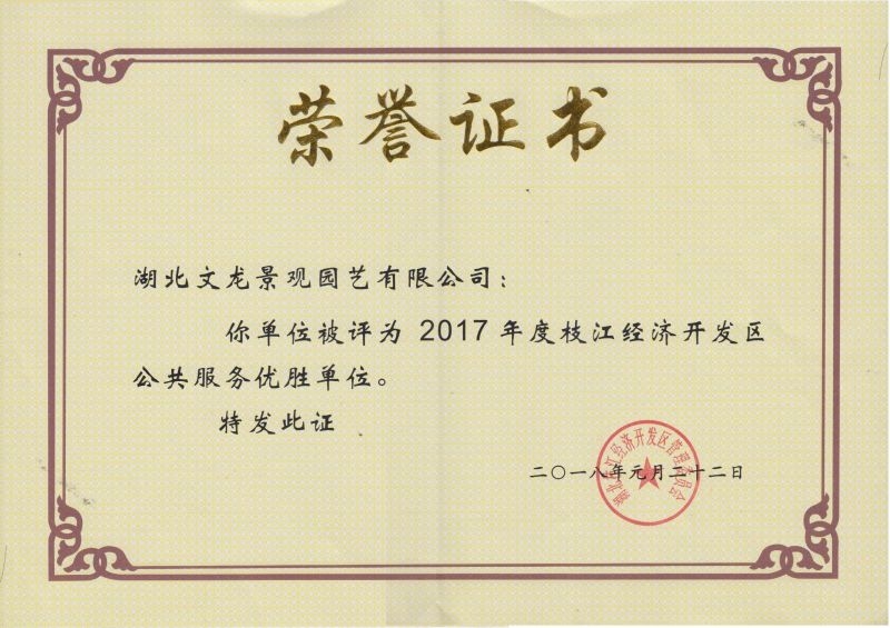 2017年度枝江市優勝單位